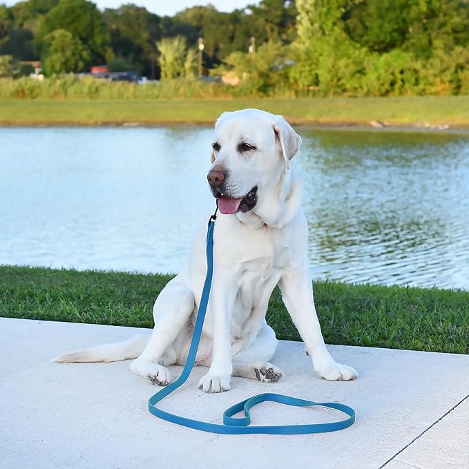 Dogline Biothane Waterproof 6ft Dog Leash Strong Coated Nylon Webbing with Black Hardware Odor-Proof Easy to Clean High Performance for Small or Large Dogs Made in USA 6ft Lead, Cerulean Blue