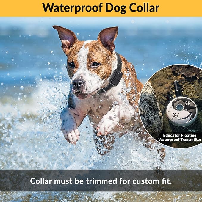 E-Collar – Educator ZEN-302-1/2 Mile Waterproof Remote Dog Training Collar Includes Premium Finger Clicker Trainer, 100 Programmable Levels + Vibration + Light + Sound