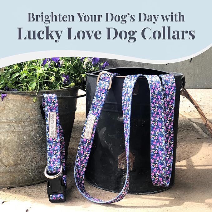 Lucky Love Dog Wide Dog Collar - Adjustable, Durable, Soft Webbing, & Comfortable 1.5 inch Wide Collar for Dogs Male and Female with Strong Buckle - Primrose, Large