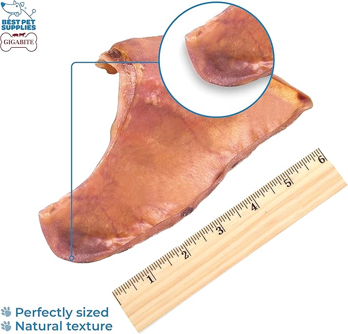 Best Pet Supplies GigaBite Roasted Pig Ears for Dogs - Natural Dog Chews, Roasted Pigs Ears, Safe for Puppies and Aggressive Chewers, Cleans Teeth and Gums - Whole Ears, Pack of 32