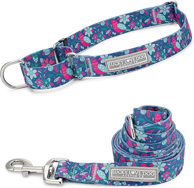 Lucky Love Dog - Easy Click Buckle Dog Collar with Leash Set Combo, Durable & Comfortable for Male & Female Dogs, Pet Collar for Large Dogs, Secure Fit - Carriebelle Combo, Large