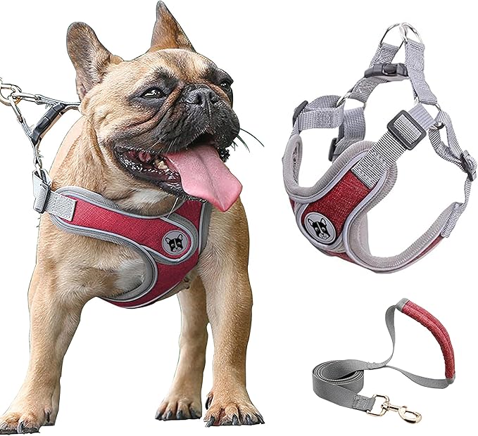 Medium Dog Harness and Leash Set,No Pull Adjustable Step in Soft Mesh Vest Harness,Easy Walk Reflective Pet Harness with Padded Handle for Walking Training Small Medium Large Dogs and Cats (Red, M)