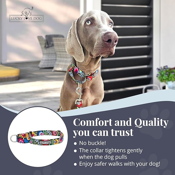 Lucky Love Dog Martingale Dog Collar & Leash - Adjustable, No-Slip, Durable, Comfortable, Soft Webbing, & Stylish Patterned Collar & Leash Set for Male and Female Dogs - Blackbird Combo, Medium
