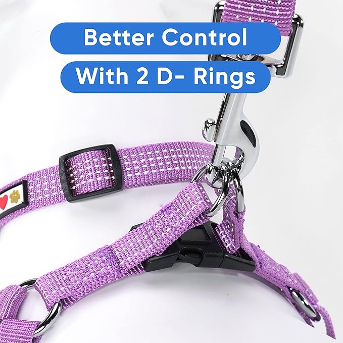 Pawtitas Reflective Step-in Dog Harness – Adjustable No-Pull Vest for Puppies to Seniors, Safe & Comfortable, XS Orchid