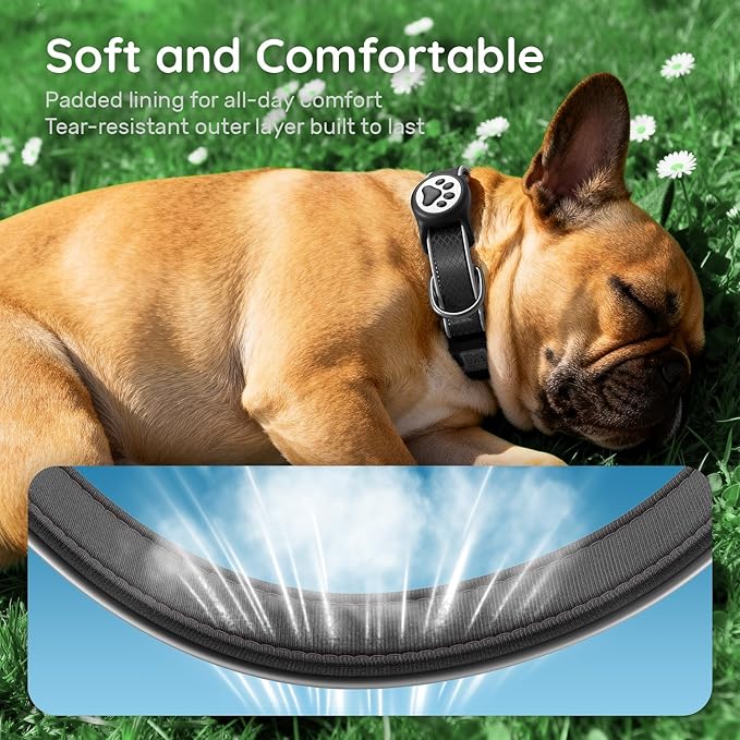 Reflective Dog Collar with IPX8 Waterproof Air TagHolder | Ultra-Durable | Soft Padded | Safety Locking Buckle | Fit Small Dogs (Purple S(9.8"-15.7"))