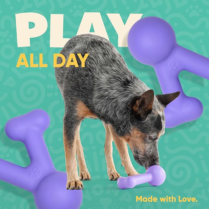 Yomp FunnyBone Wish Bone Dog Chew Toy – Interactive Teething Toy for Puppies, Soft, and Medium Chewers – Pet-Safe, Non-Toxic Silicone Chew Bone