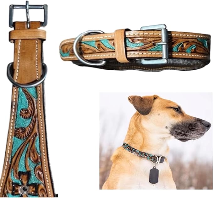 Majestic Ally Leather Dog Collar with Adjustable, Padded Fit for Walking, Hiking, and Running, Designer Western Wear for Puppies, Fancy Colors (Turquoise - Natural, Extra Large)