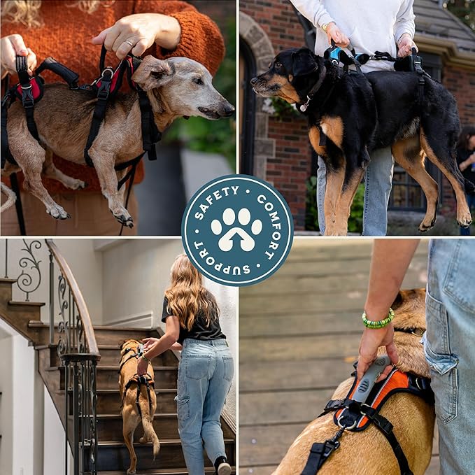 Help 'Em Up® - Dog Lift Harness│ Adjustable Lifting Harness for Dogs │ Full Body Support, Rear Leg Support (Conventional, Medium)