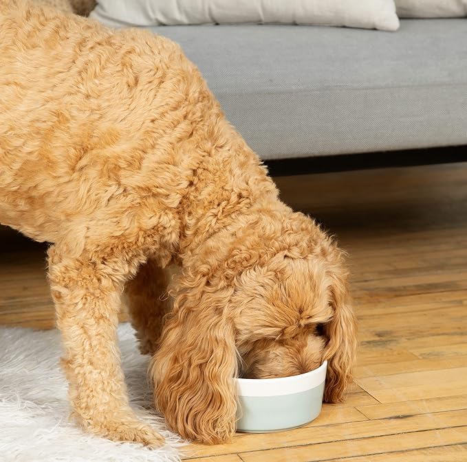 Waggo Dipper Ceramic Dog Bowl for Small and Large Breeds - Heavyweight and Durable Pet Food and Water Dish Crock, Dishwasher Safe, Modern (Light Grey, Small)