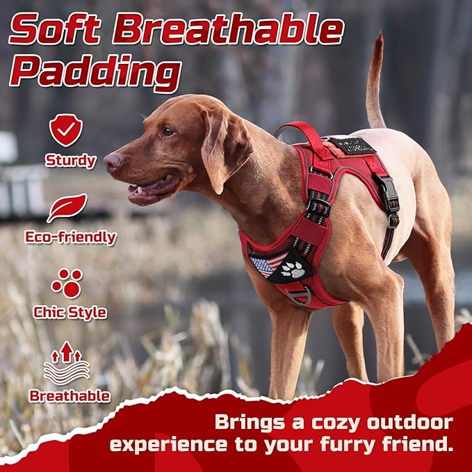 rabbitgoo Tactical Dog Harness for Small Dogs, No Pull Military Service Vest with Handle & Molle, Easy Control for Training Walking, Adjustable Reflective Straps, Red, S