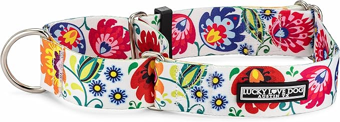 Lucky Love Dog Wide Martingale Dog Collar - No-Slip, Durable, & Soft Webbing 1.5 inch Martingale Collar for Dogs Male and Female Ideal for Training & Walking - Ladybird, X-Large