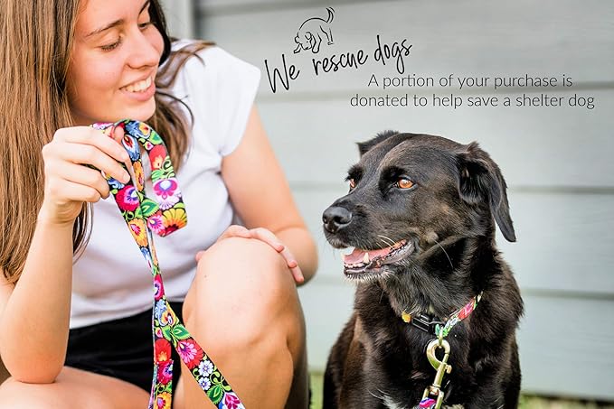 Lucky Love Dog Wide Martingale Dog Collar - No-Slip, Durable, & Soft Webbing 1.5 inch Martingale Collar for Dogs Male and Female Ideal for Training & Walking - Blackbird, Large