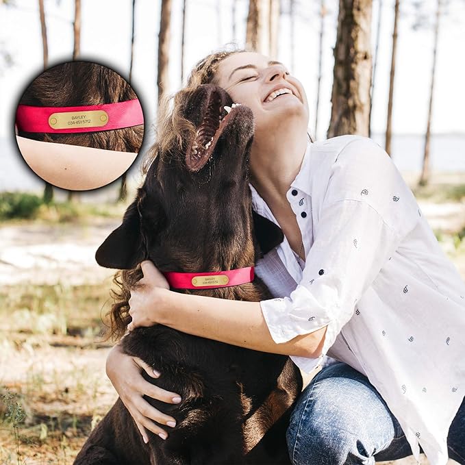 Regal Dog Products Small Pink with Custom Engraved Waterproof Dog Collar and Leash Set | Waterproof Dog Collar with Double Buckle & D Ring - 5'ft Leash | Matching Dog Collar and Leash for Dogs