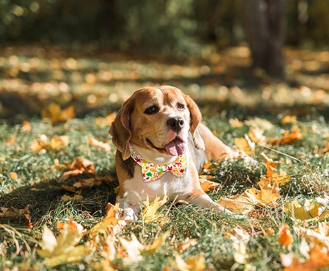 Tunkoo Fall Dog Collar with Cute Bow Tie - Durable Adjustable and Stylish Autumn Cotton Pet Collar, Available in Small Medium Large, L
