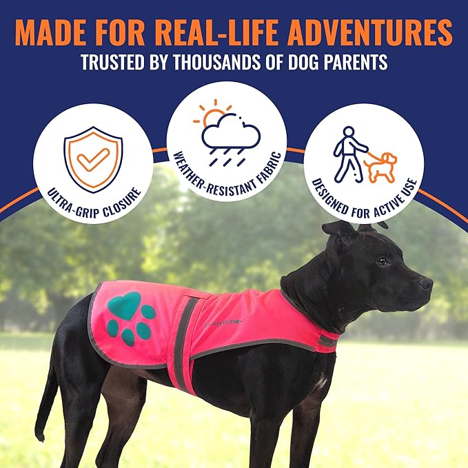 SafetyPUP XD Dog Reflective Vest – Hi-Vis Fluorescent Visibility That Helps to Safeguard Your Pet On/Off Leash in Urban & Rural Areas (Pink, Medium)