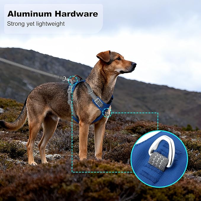 No Pull Dog Harness – Adjustable Reflective Nylon Vest for Small Medium Large Dogs, Escape Proof Training Harness with Leather Control Handle, Lightweight Aluminum Hardware (Royal Blue, S)