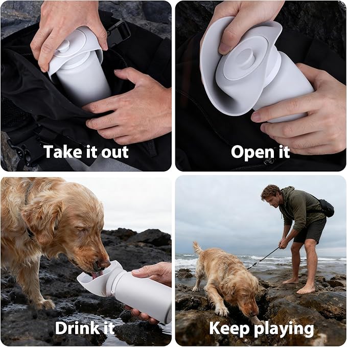 Portable Dog Water Bottle, 2-in-1 Leak Proof & Collapsible Silicone Pet Dispenser with Built-in Bowl, Food Grade Travel Cup for Walking, Hiking (19oz/550ml, Gray)