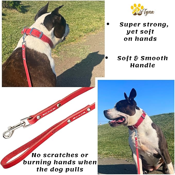 ADITYNA - Premium Leather Dog Leash - 6 ft, Heavy-Duty, Soft & Strong for Small/Medium Dogs (Small: 6 ft x 1/2", Red)