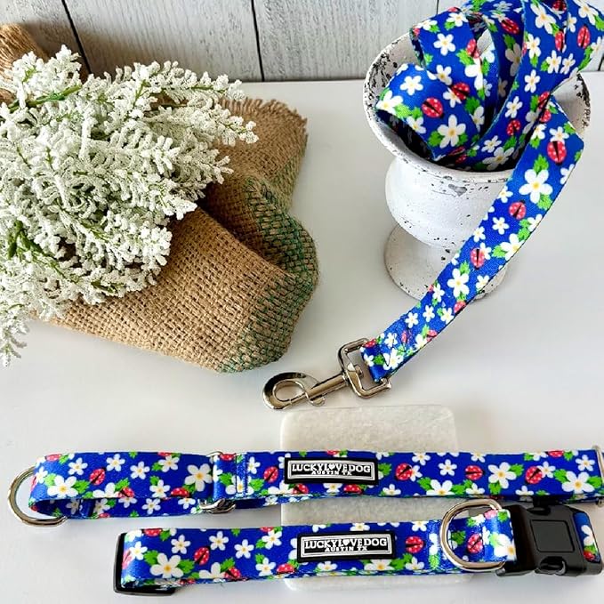 Lucky Love Dog - Easy Click Buckle Dog Collar with Leash Set Combo, Durable & Comfortable for Male & Female Dogs, Pet Collar for Large Dogs, Secure Fit - Lilian Combo, Large