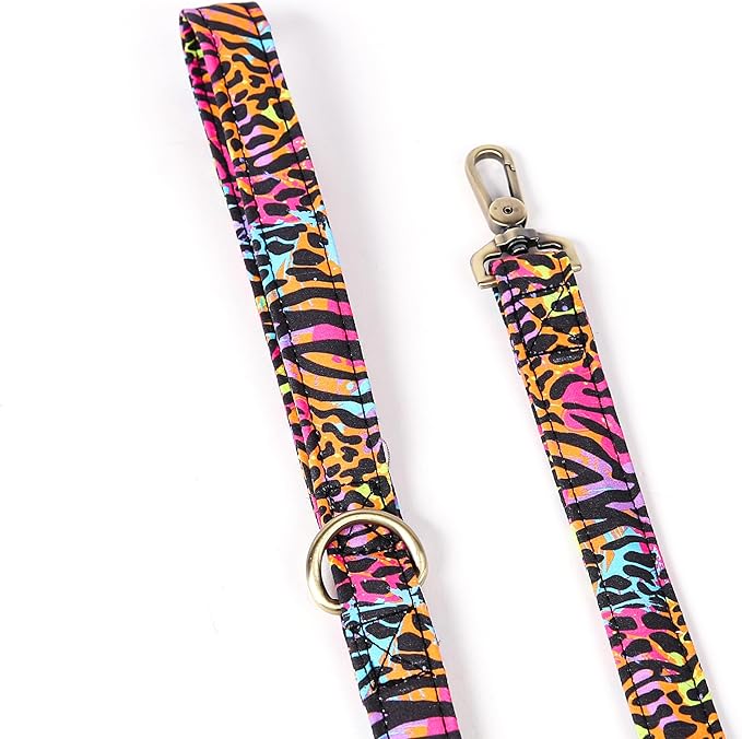 Organic Cotton Dog Leash for Small,Medium and Large Breed,Brass Hardware Pet Leash for Walking,Running and Training 6FT