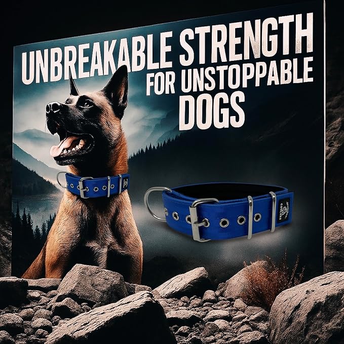 SparkDog Collars Padded Working Dog Collar - 2" 4ply Padded Dog Collar Heavy Duty Stainless Steel Tactical Seatbelt Wide Buckle Collar (Blue 2.0, 16-21" Large)