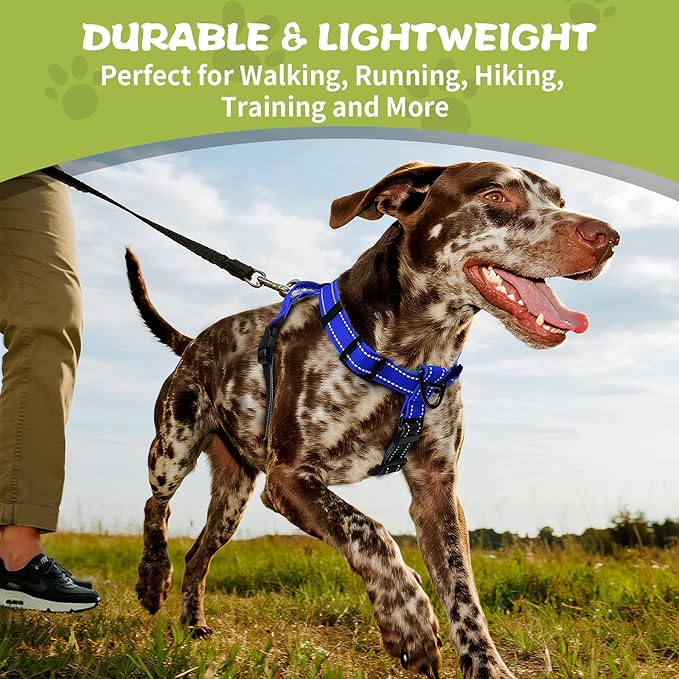 Dog Harness,Adjustable No Pull Dog Harness,Y-Shaped Design,Buckle-Neck Balance Harness with Reflective, Ideal for Dog Training Hiking, Easy Walk Harness,Durable High-Tensile Nylon-Blue-M