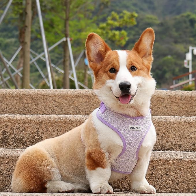 No Pull Dog Vest Harness for Small&Medium Dogs, Side Clip Adjustable Pet Vest, Soft Breathable, Fashion Dog Harnesses for Walking, Running, Shopping (Purple, S)