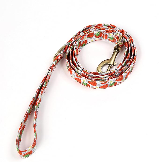 Organic Cotton Dog Leash for Small,Medium and Large Breed,Brass Hardware Pet Leash for Walking,Running and Training 6FT