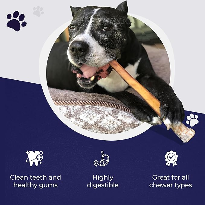 Devil Dog Pet Co. Bully Sticks – 6 Inch, 25 Pack, Standard Sized Dog Chews, 100% Natural, Single Ingredient, Free-Range Grass-Fed Beef – Long Lasting, Rawhide-Free Treats for Dogs