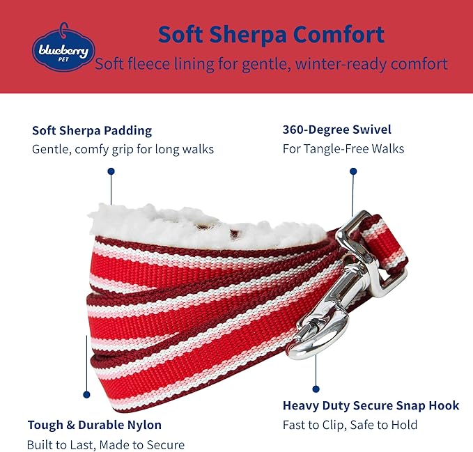 Blueberry Pet Multi-Colored Stripe Fleece Padded Dog Leash with Soft & Comfortable Handle, 5 ft x 3/4", Red, Medium, Leashes for Dogs