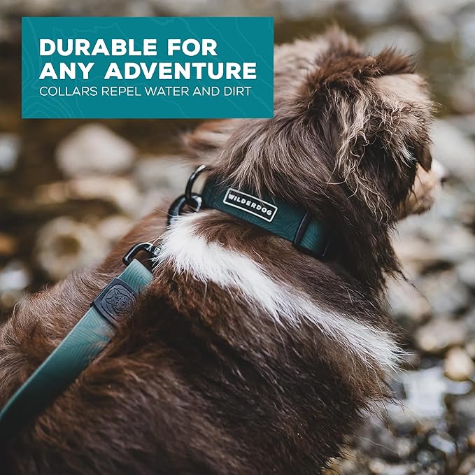 Wilderdog Waterproof Dog Collar - Repels Water & Dirt - Small 11"-15" - Cedar