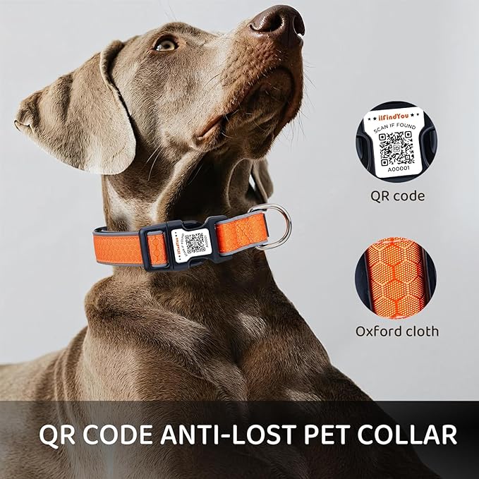 Reflective Dog Collar with QR Code Tag, Personalized Dog Collar, Safety Night Visibility, Anti-Loss Function (Orange, Small)