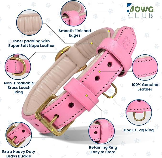 Leather Dog Collar for Medium Dogs, Light Pink, 1 Inch Wide, Genuine Leather, Heavy Duty with Soft Inner Padding, Comfortable and Durable (Blush Pink, M (Fit Neck Size 14.5"-18.5"))