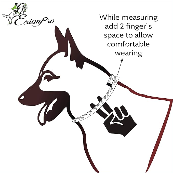 Exion Geniun Leather Dog Collar Designer Stitched Soft Leather Padded- Suitable for Small Medium Large X-Large Dogs for Walking Running- Havana with Blue Padding
