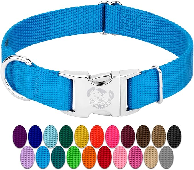 Country Brook Petz - Premium Nylon Dog Collar with Metal Buckle for Small Medium Large Breeds - 10+ Cool Colors (Extra Large, 1 Inch, Ice Blue)
