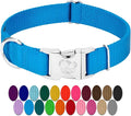 Country Brook Petz - Premium Nylon Dog Collar with Metal Buckle for Small Medium Large Breeds - 10+ Cool Colors (Small, 3/4 Inch, Ice Blue)