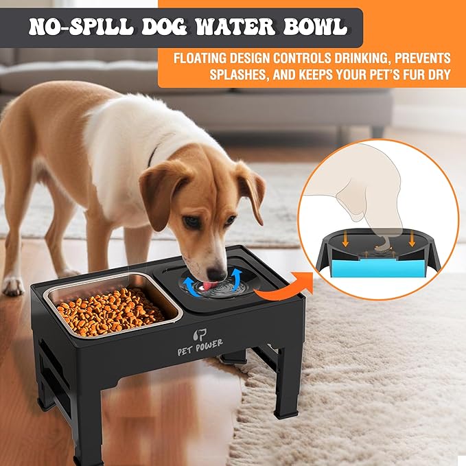 Dog Bowls Elevated Large Breed, Raised Dog Bowl Stand with 4 Adjustable Height, Stainless Steel Food Bowl & No-Spill Water Bowl for Small, Medium, Large Dogs