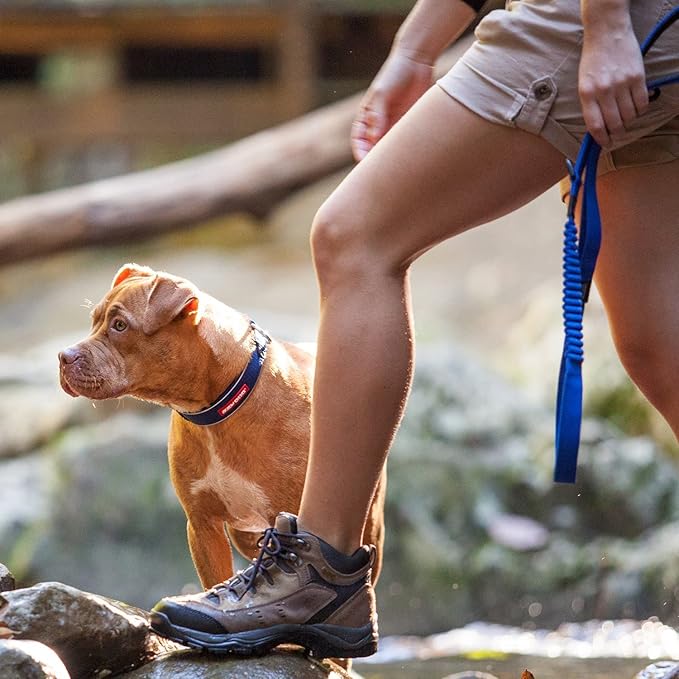 EzyDog Zero Shock Dog Leash - Shock Absorbing Bungee Leash for Dogs That Pull or Excite - Dual Handle and Reflective for Large, Medium, or Small Dogs (72-Inch, Pink Camo)