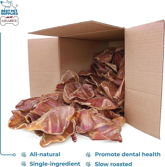 Best Pet Supplies GigaBite Roasted Pig Ears for Dogs - Natural Dog Chews, Roasted Pigs Ears, Safe for Puppies and Aggressive Chewers, Cleans Teeth and Gums - Whole Ears, Pack of 70