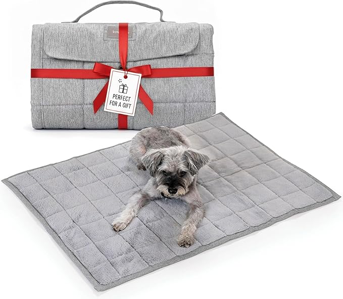 KindTail Nomad Nap Mat - Travel Dog Bed - Machine Washable, Water-Resistant Dog Mat for Pets up to 50 lbs - Lightweight, Portable Pet Bed with Carry Handle - Folds to 14 x 9 x 5 (1.5 lbs, Light Grey)