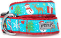 THE WORTHY DOG Adjustable Holiday Dog Collar for Small Dogs, Durable Nylon Webbing, Quick Release Buckle, Winter Wonderland Christmas Pattern, ICY Blue, Small