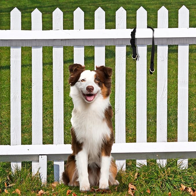 PetSafe KeepSafe Collar for Dogs - Protects Against Collar Accidents - Long Lasting - Durable - Adjustable - Breakaway - Outdoor-Safe - Small - 3/4 in. Wide - Red