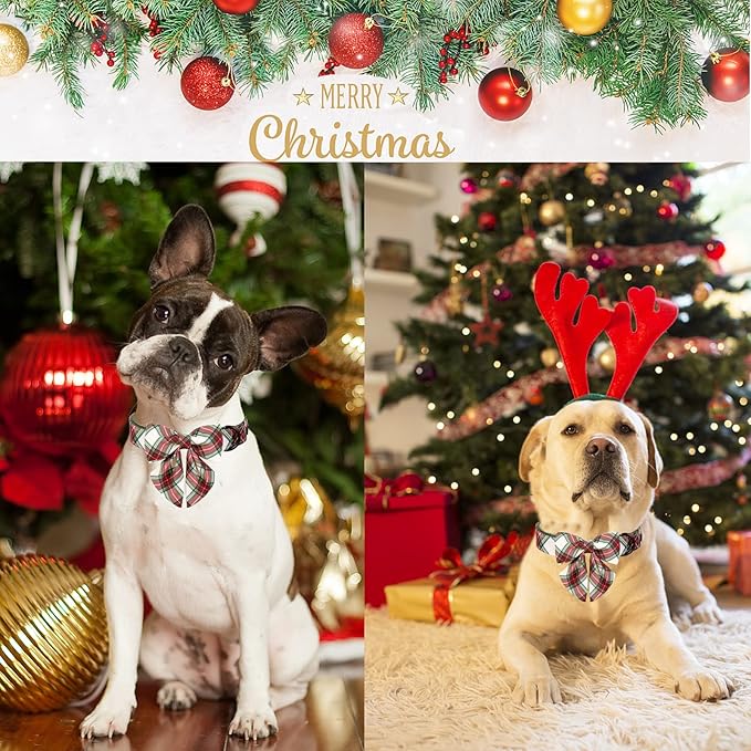 ARING PET Christmas Dog Collar, Cute Xmas Pet Collar with Sailor Bowtie Red and Green Plaid Bow Tie Collars with Metal Buckle for Puppy Small Medium Large Boy Girl Dogs-XL