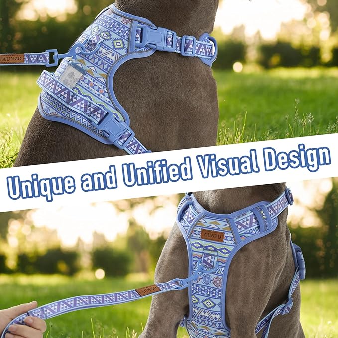 No Pull Dog Harness for Small Dog Breeds, Anti-Escape Easy Walking Reflective Adjustable Lightweight Dog Vest with Breathable Oxford Material, Easy on Easy Off with Neck Buckle,Blue Ethnic XS