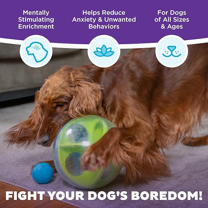 Outward Hound by Nina Ottosson A-Maze Ball Dog Treat Puzzle Ball, Level 2 Intermediate, 8.46" Diameter, Green
