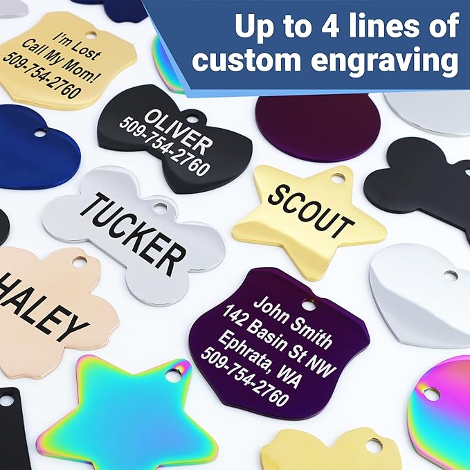 GoTags Stainless Steel Pet ID Tags, Personalized Dog Tags and Cat Tags, up to 8 Lines of Custom Text, Engraved on Both Sides, in Bone, Round, Heart, Bowtie and More (Flower, Regular (Pack of 1))