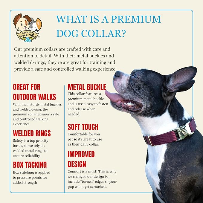 Country Brook Petz - Premium Nylon Dog Collar with Metal Buckle for Small Medium Large Breeds - 10+ Warm Colors (Medium, 3/4 Inch, Burgundy)