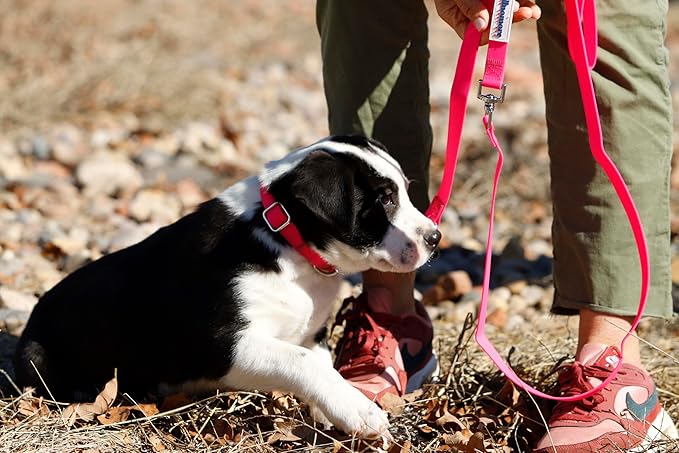 No-Pull Dog Leash, Chew Resistant, Waterproof, Durable PVC Material, Multiple Sizes and Colors (Pink, Large)