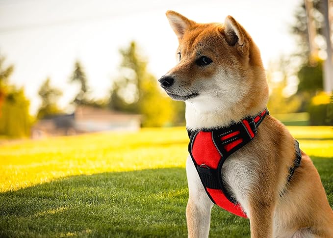 Ziggy Pet Dog Harness Adjustable Nylon Mesh Vest with Leash Clips (Red, Extra Large)
