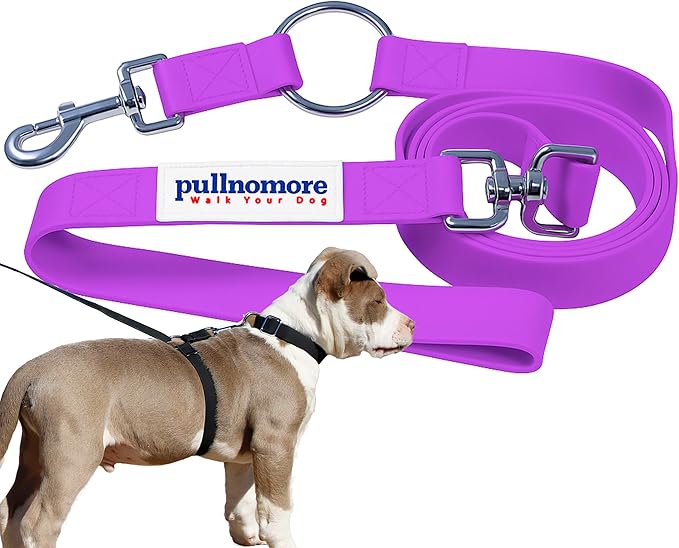 No-Pull Dog Leash, Chew Resistant, Waterproof, Durable PVC Material, Multiple Colors and Sizes (Purple, Small)